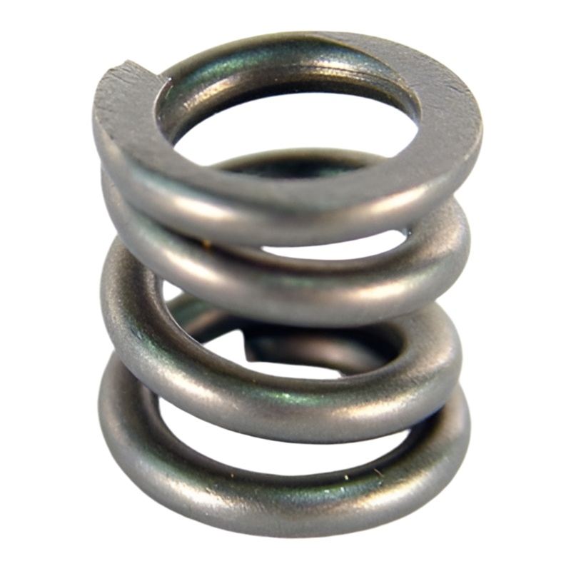 313000 Steel Nytro .091″ 3 and 4 Disc Clutch Spring
