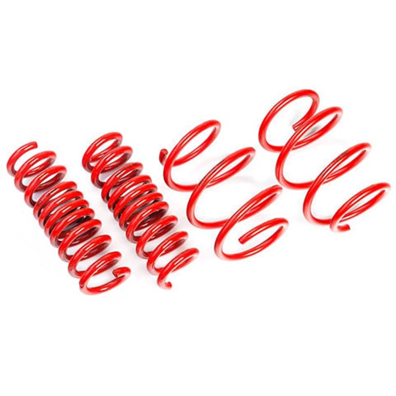 AST Lowering Springs | 2017-2023 Tesla Model 3 AWD Performance Long Range (ASTLS-19-207)