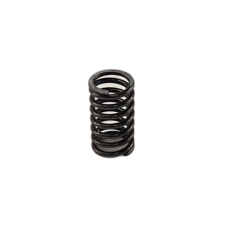 Spring, Oil Filter by Honda