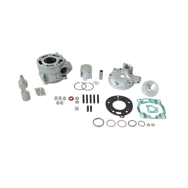 Athena P400485100019 2T Cast Piston 55,95 mm for Athena Standard Bore Cylinder Kit