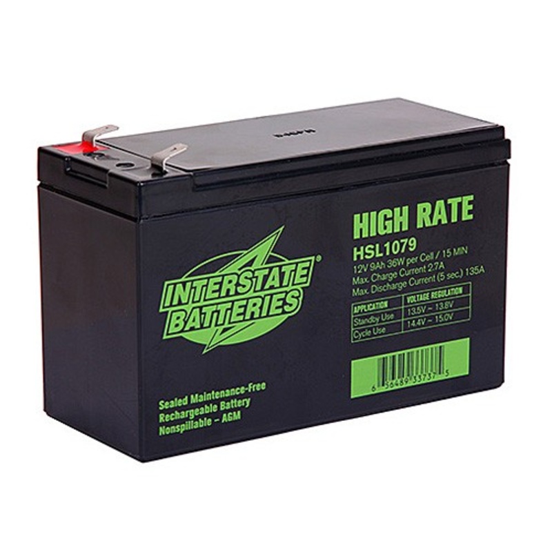 (291) X30125900A Leopard Starter Battery, Interstate Batteries 12 Volt Battery, 9AH