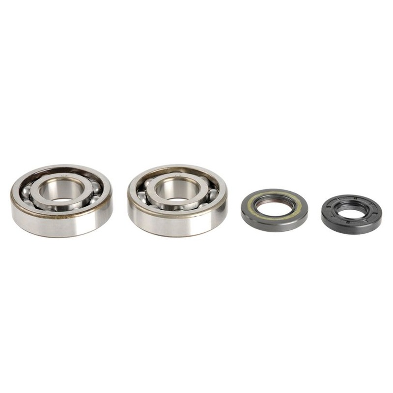 Athena P400250444256 Crankshaft Rebuilding Kit: Bearing and Oil Seal Kit